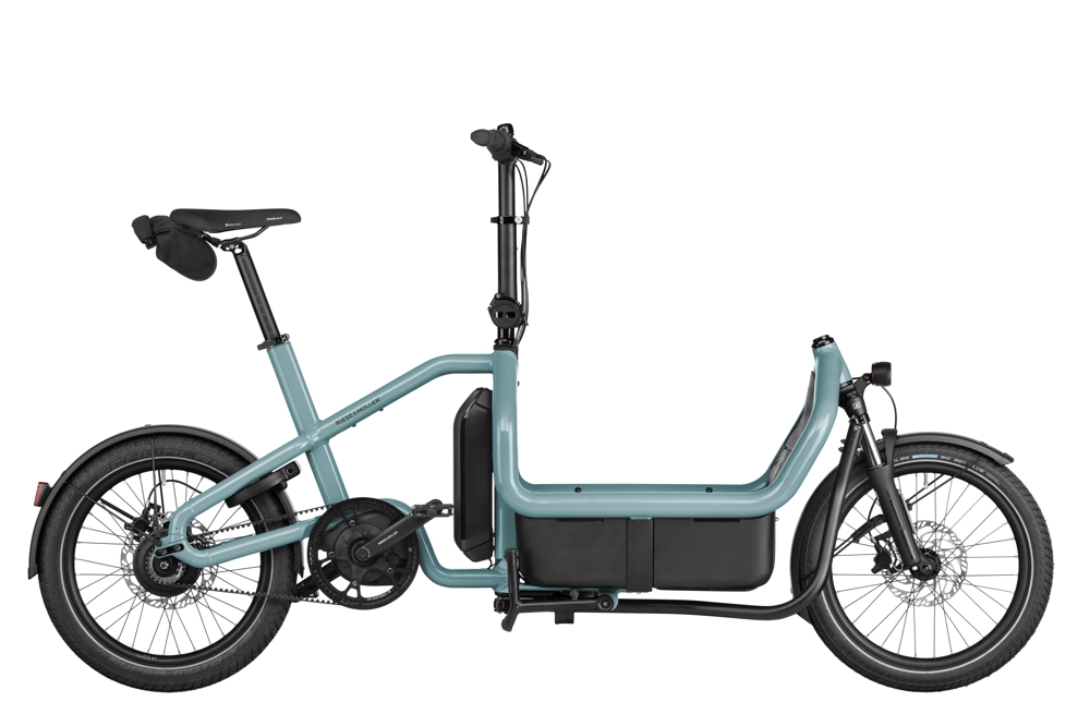 Profile photo of the Carrie e-bike.