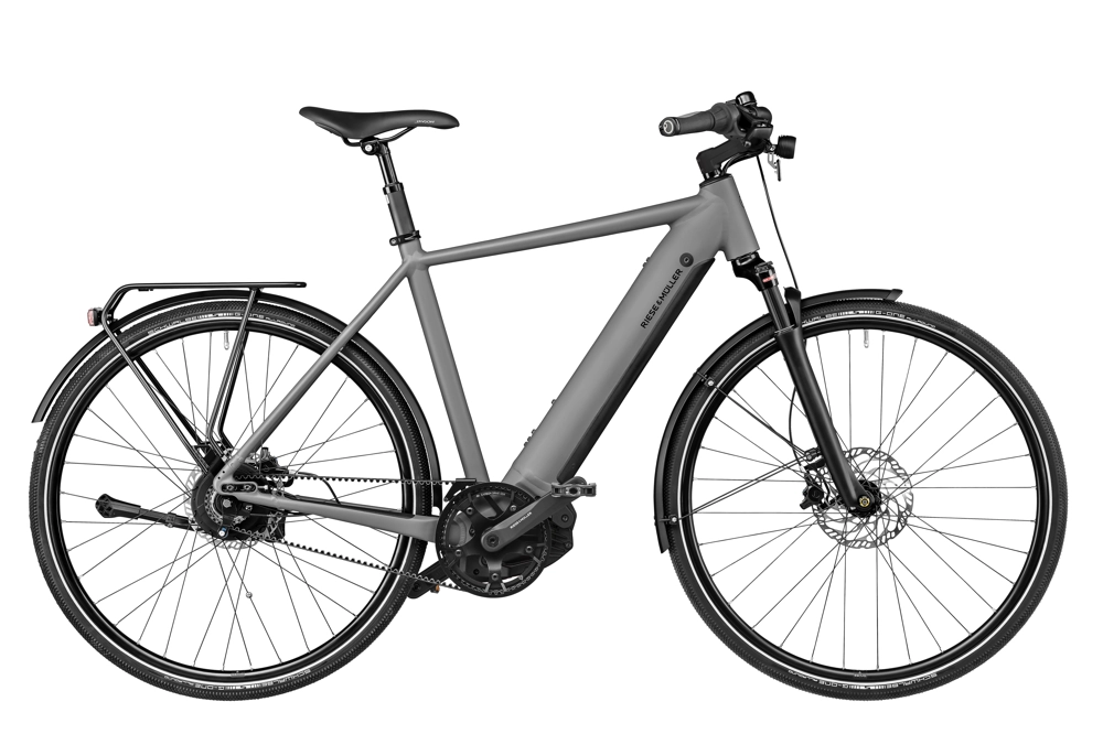Profile photo of the Roadster e-bike.